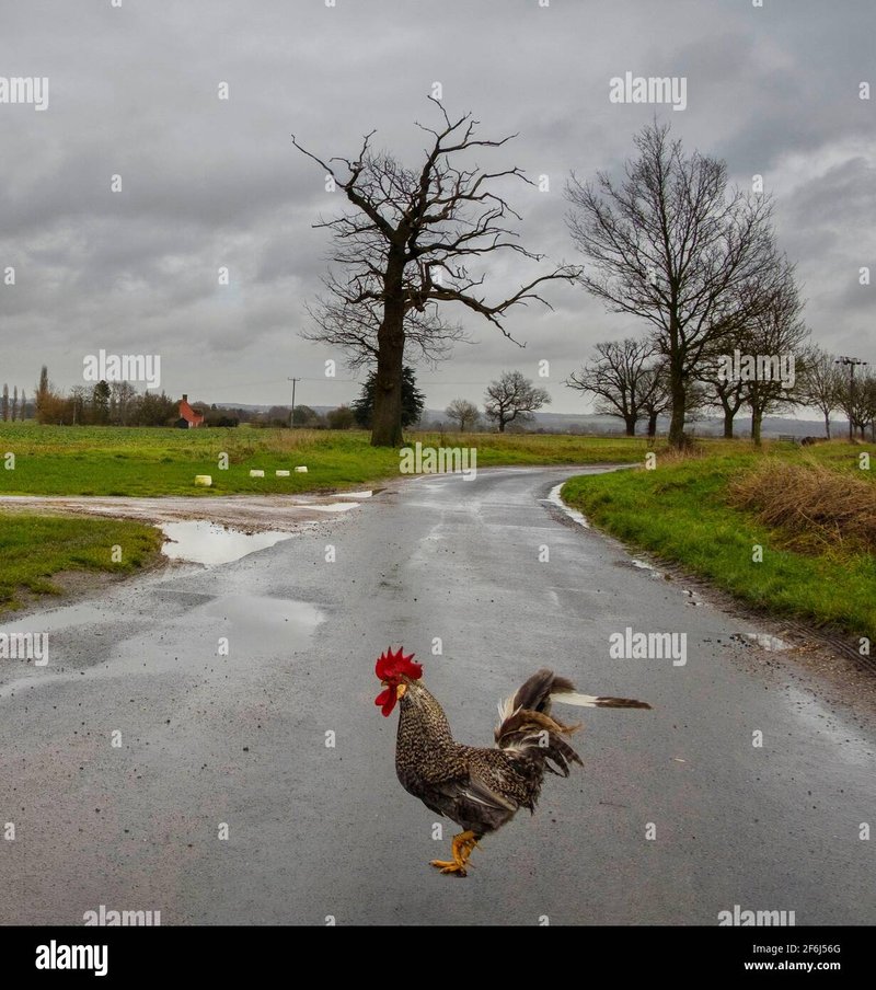 Spain - chicken road oficial